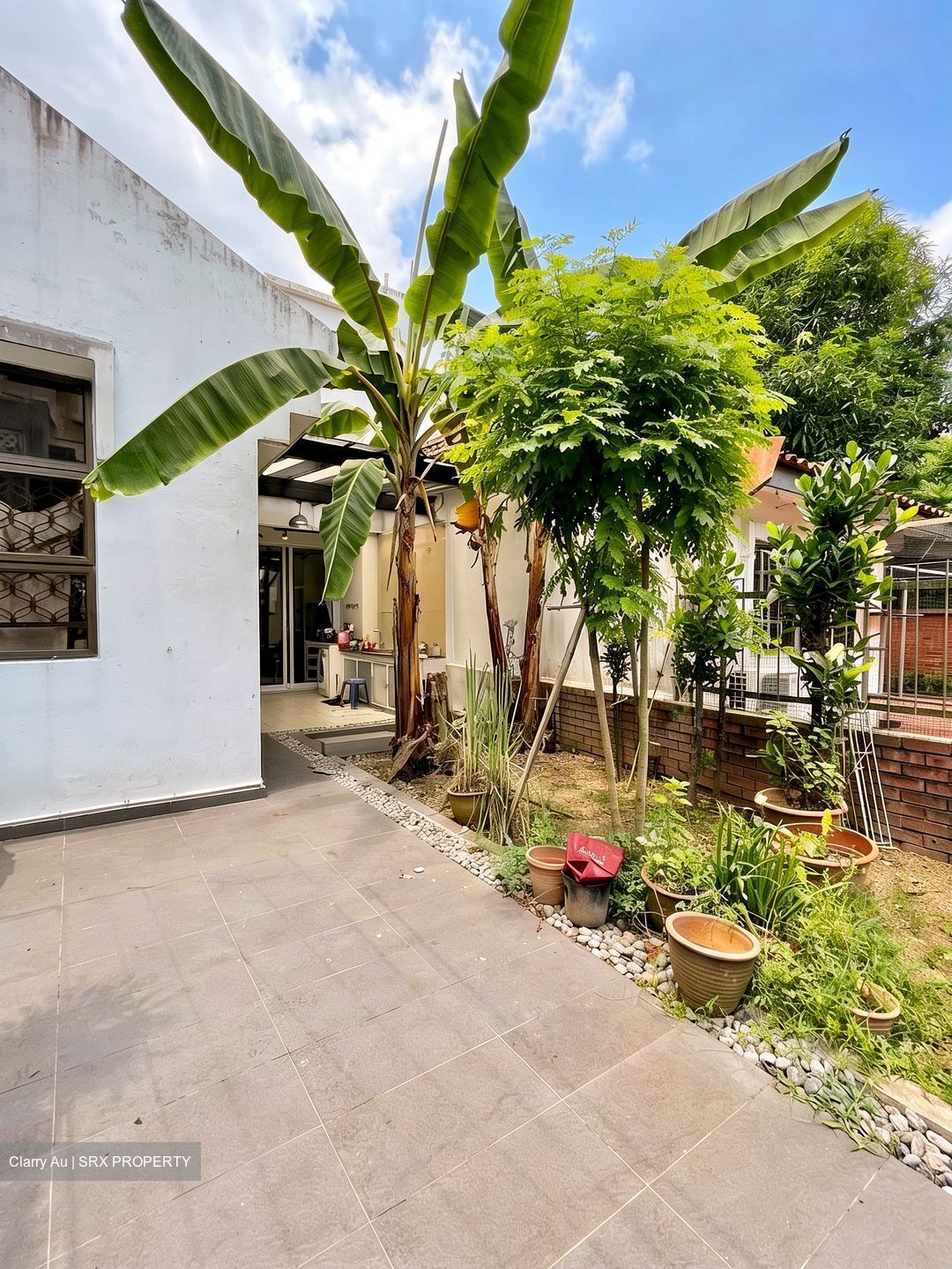 Henry Park (D10), Terrace #566458971